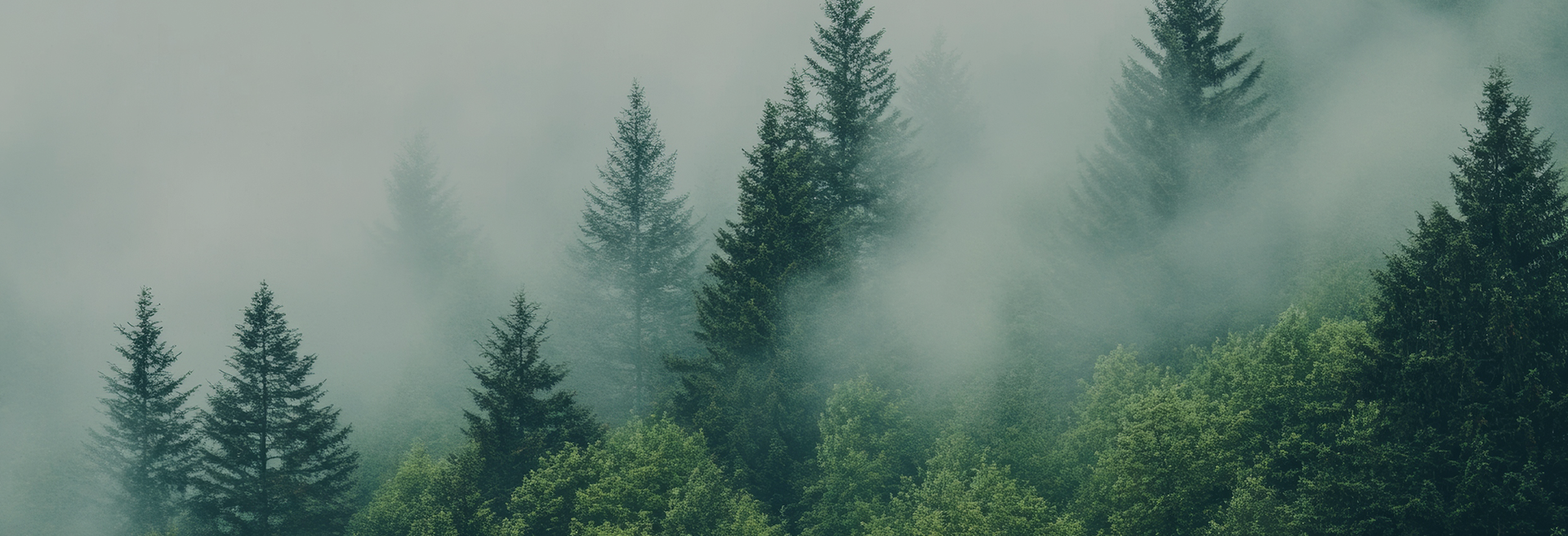 Дунъянши Мэнхуэй Текстильная Компания, ООО